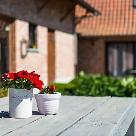 Vakantiehoeve Berckelaer Alloggio per agriturismo Sint-Gillis-Waas